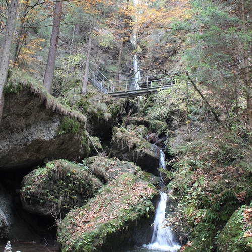 Hundetreffen 2018 im Allgäu (5)